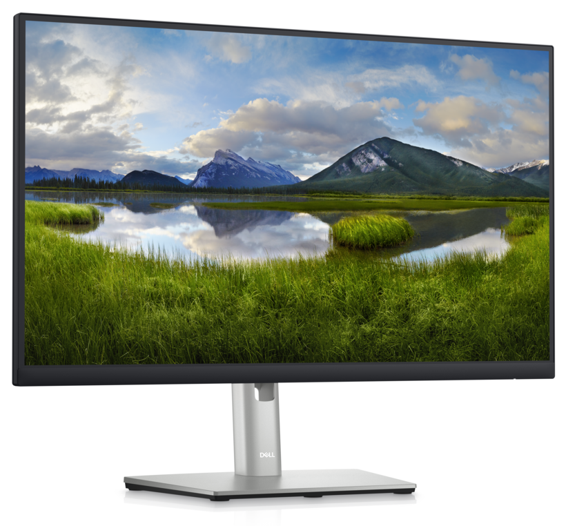 Dell Professional P2423D Monitor
