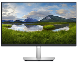 Dell Professional P2423D Monitor