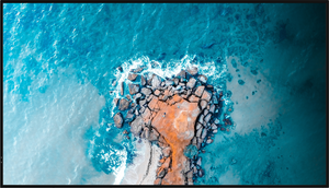 Hisense DM Digital Signage Display