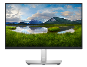 Dell Professional P2222H Monitor